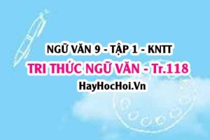 Soạn bài Tri thức ngữ văn trang 118 lớp 9 tập 1 Kết nối tri thức